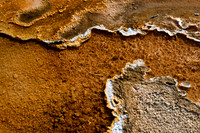 Yellowstone-6342
