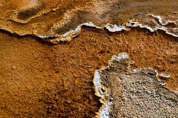 Yellowstone-6342