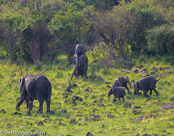Maasai_Mara-5209