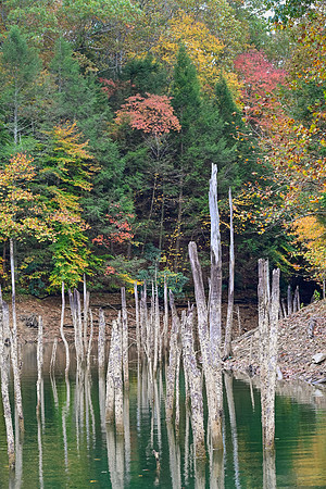 Water_LaurelLake-1978