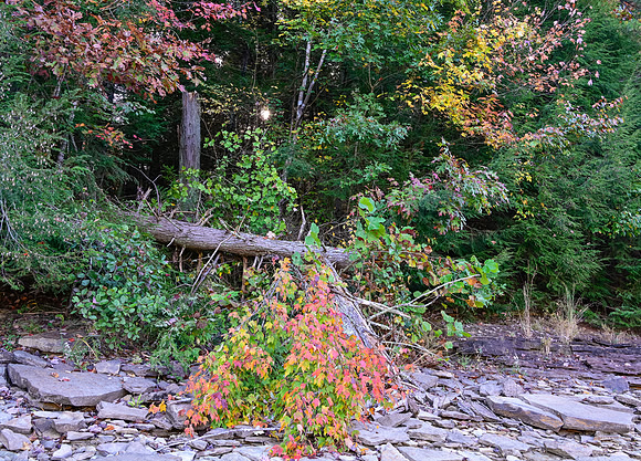 Water_LaurelLake-1595