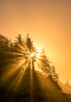 Oregon-4628_18x27