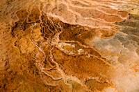 Yellowstone-6364