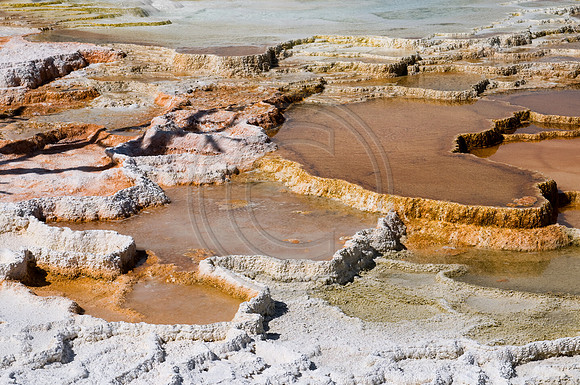 Yellowstone-6650