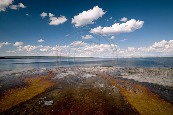 Yellowstone-6292