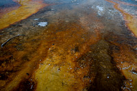Yellowstone-6299