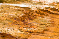 Yellowstone-6448