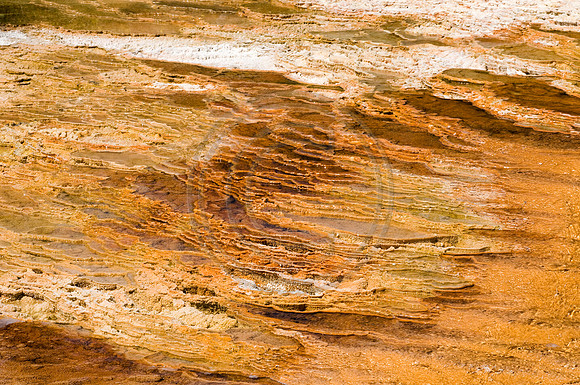 Yellowstone-6448