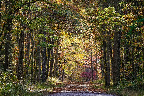 Water_LaurelLake-5544
