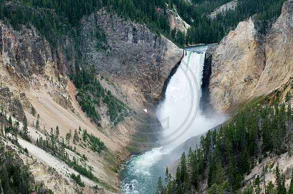 Yellowstone-6597
