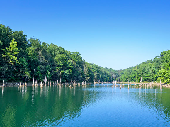 Water_LaurelLake-1412