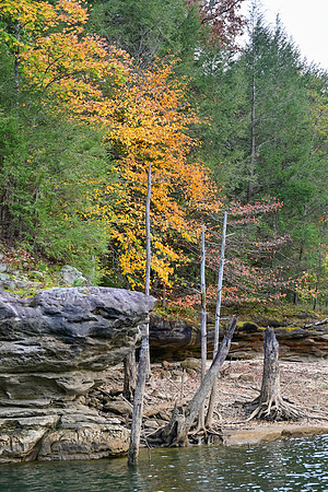 Water_LaurelLake-2194