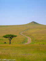 Maasai_Mara-3752