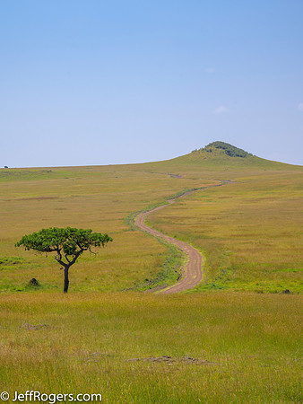 Maasai_Mara-3752