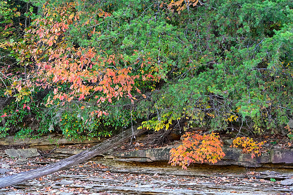 Water_LaurelLake-1553
