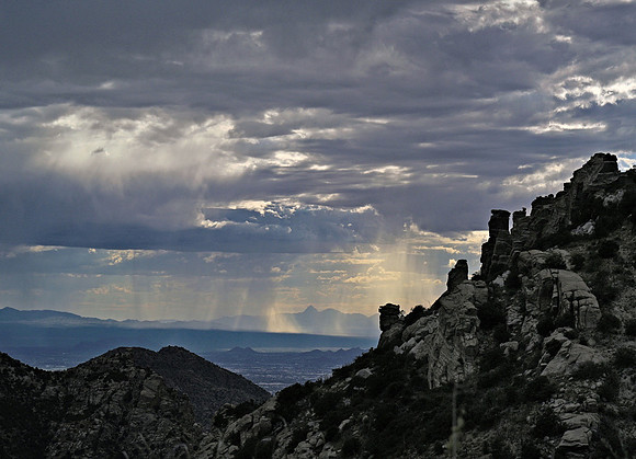 _JRP3363_Radiant
