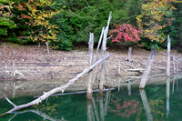 Water_LaurelLake-1418