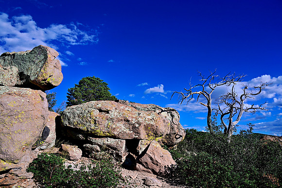 _JRP3231_Radiant