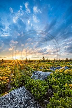 DollySods_sunset_LR_8374_web