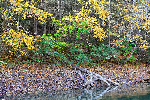 Water_LaurelLake-1625