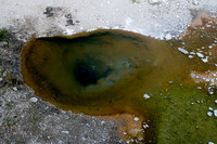 Yellowstone-6336