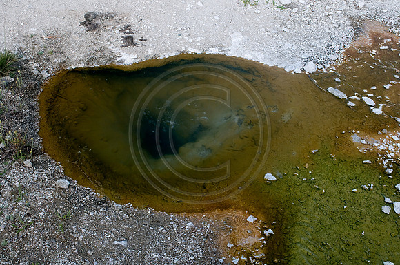 Yellowstone-6336