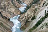 Yellowstone-6559