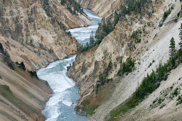 Yellowstone-6559