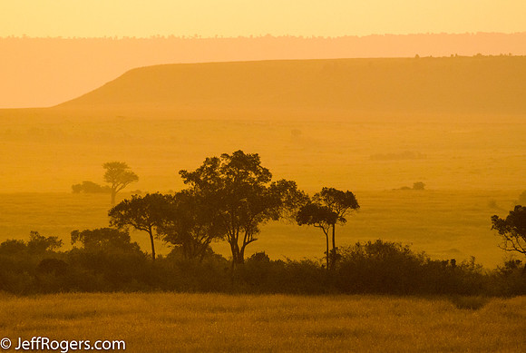 Maasai_Mara-5028