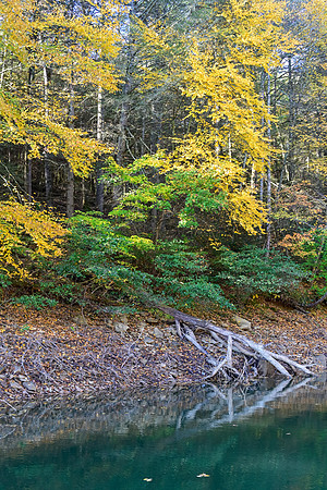 Water_LaurelLake-1639