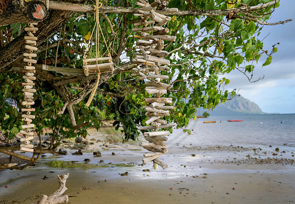 Hawaii-5868_Radiant