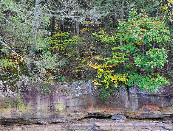 Water_LaurelLake-2136