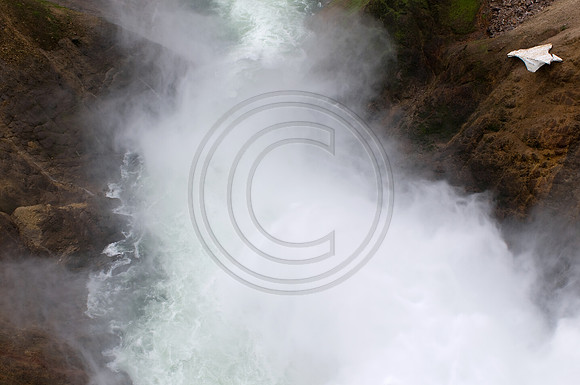 Yellowstone-6565