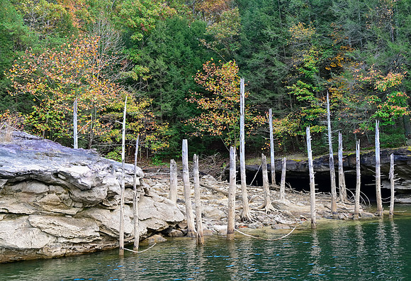 Water_LaurelLake-2188