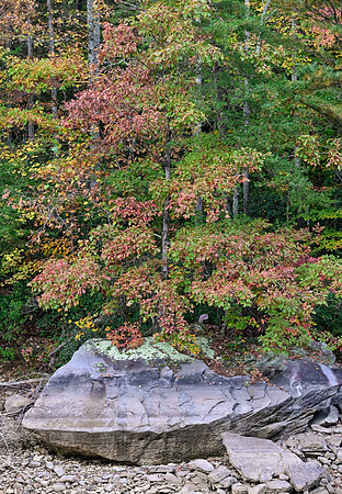 Water_LaurelLake-5619