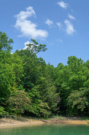 Water_LaurelLake-1651