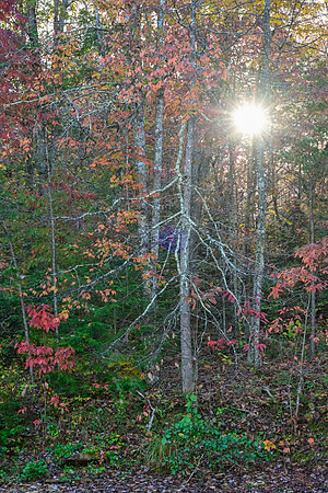 Water_LaurelLake-1481