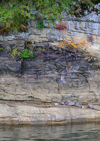 Water_LaurelLake-2271