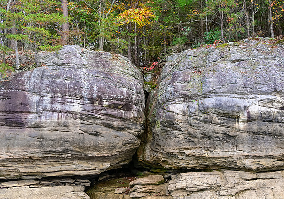 Water_LaurelLake-2158
