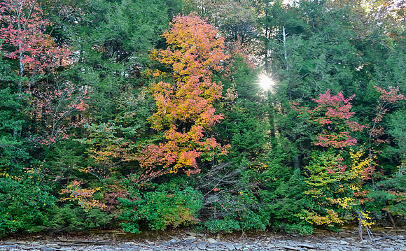 Water_LaurelLake-1544