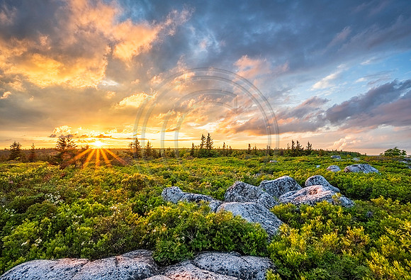 DollySods_sunset_LR_web-