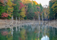 Water_LaurelLake-1374