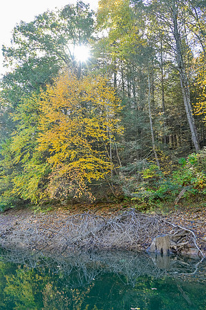 Water_LaurelLake-1687