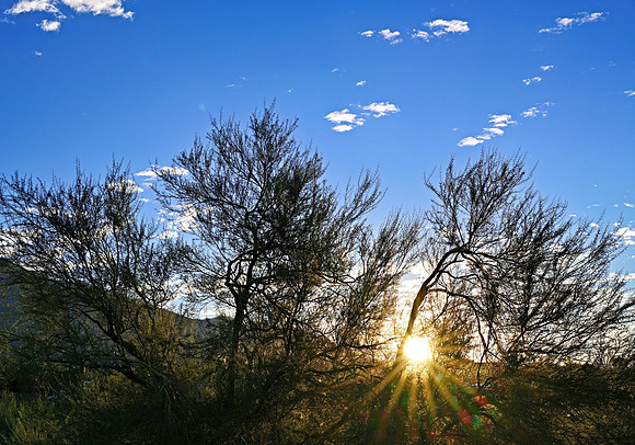 _JRP3130_Radiant