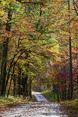 Water_LaurelLake-5556