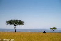 Maasai_Mara-3923