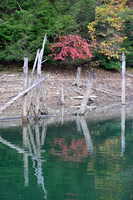 Water_LaurelLake-1396