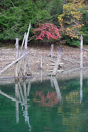 Water_LaurelLake-1396