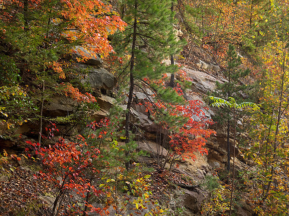 KY_CumberlandFalls_1010309