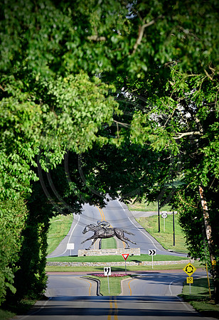 Horse_Secretariat3372